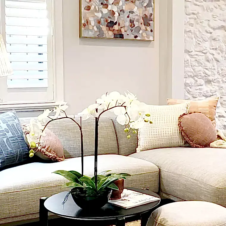 Home staging questions, answered clearly